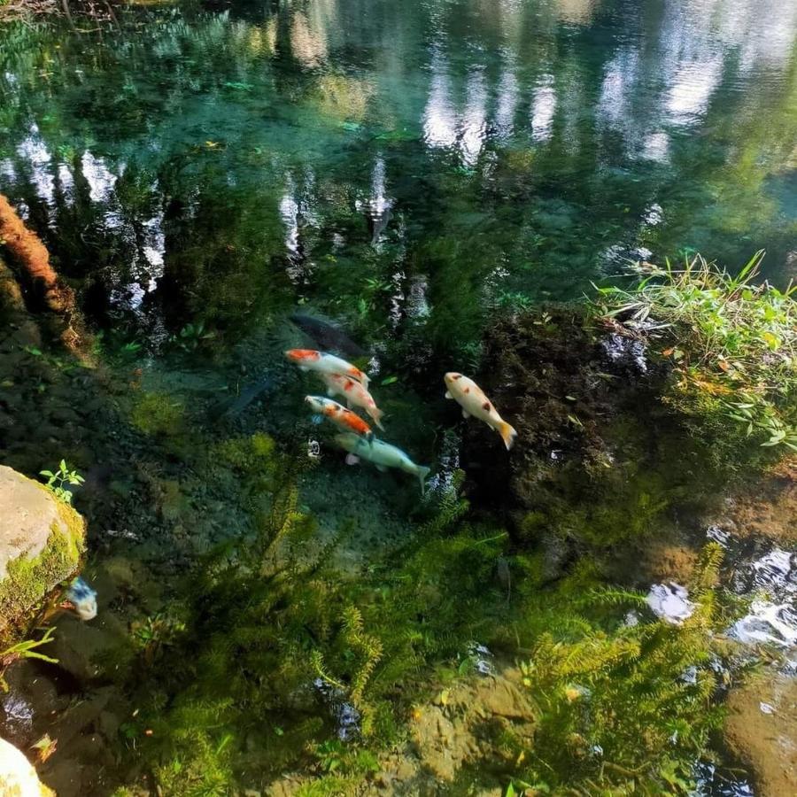 Momiji Hostel Minamiaso Dış mekan fotoğraf